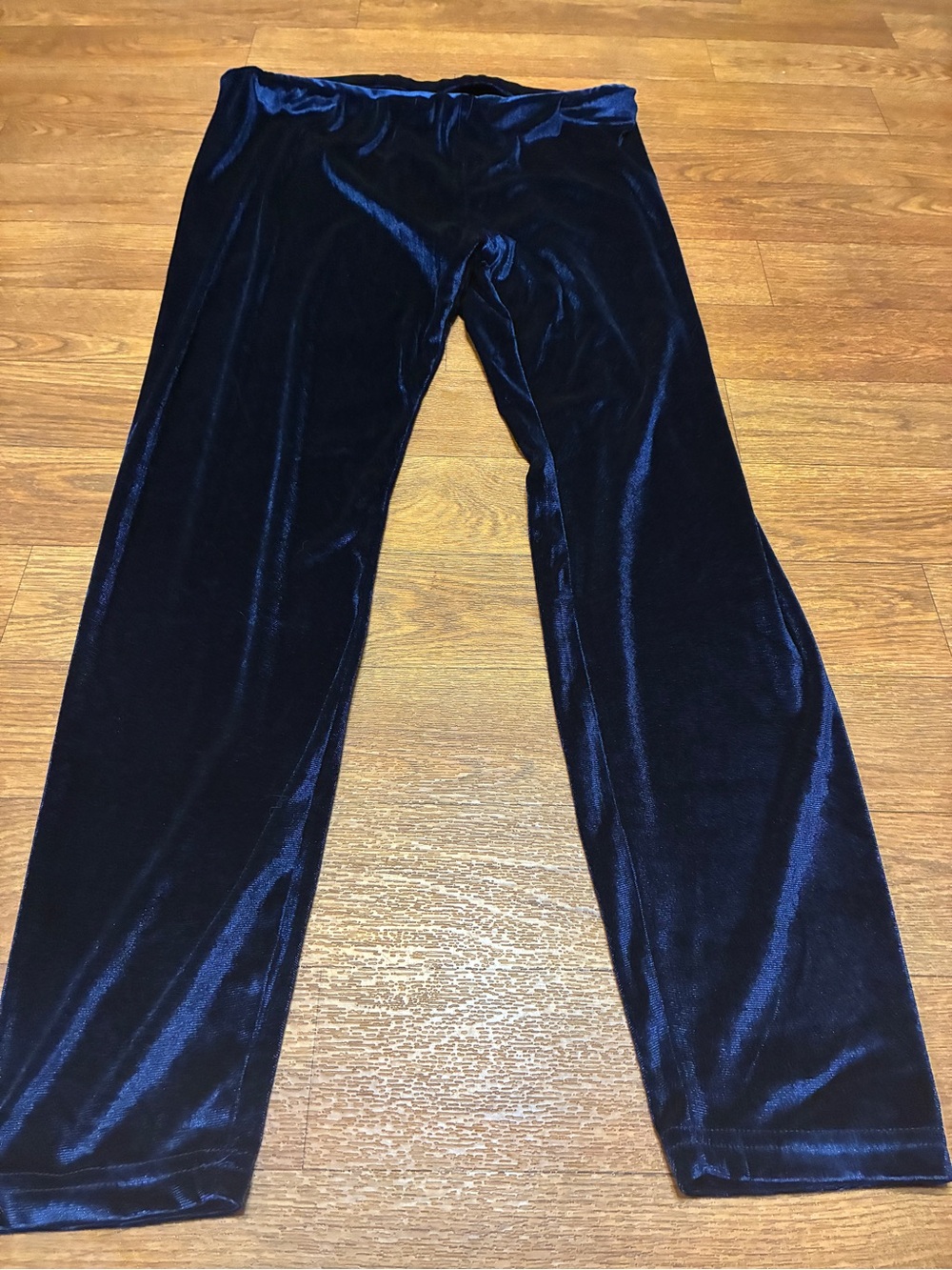 Women’s Velvet Navy Pants Size XL